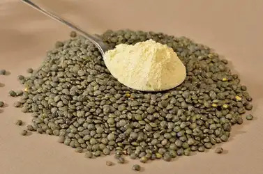 Farine de lentilles bio Meule de pierre.jpg